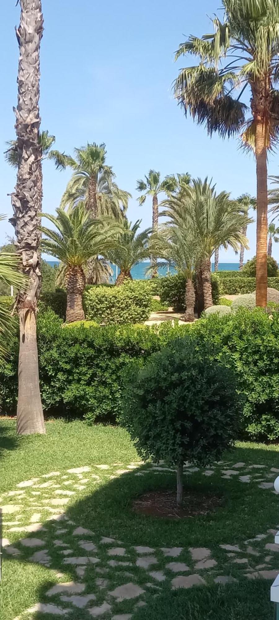 Beach View - Primera Linea Lujo Dénia Buitenkant foto